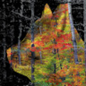 Meet your Posher, Chelsea